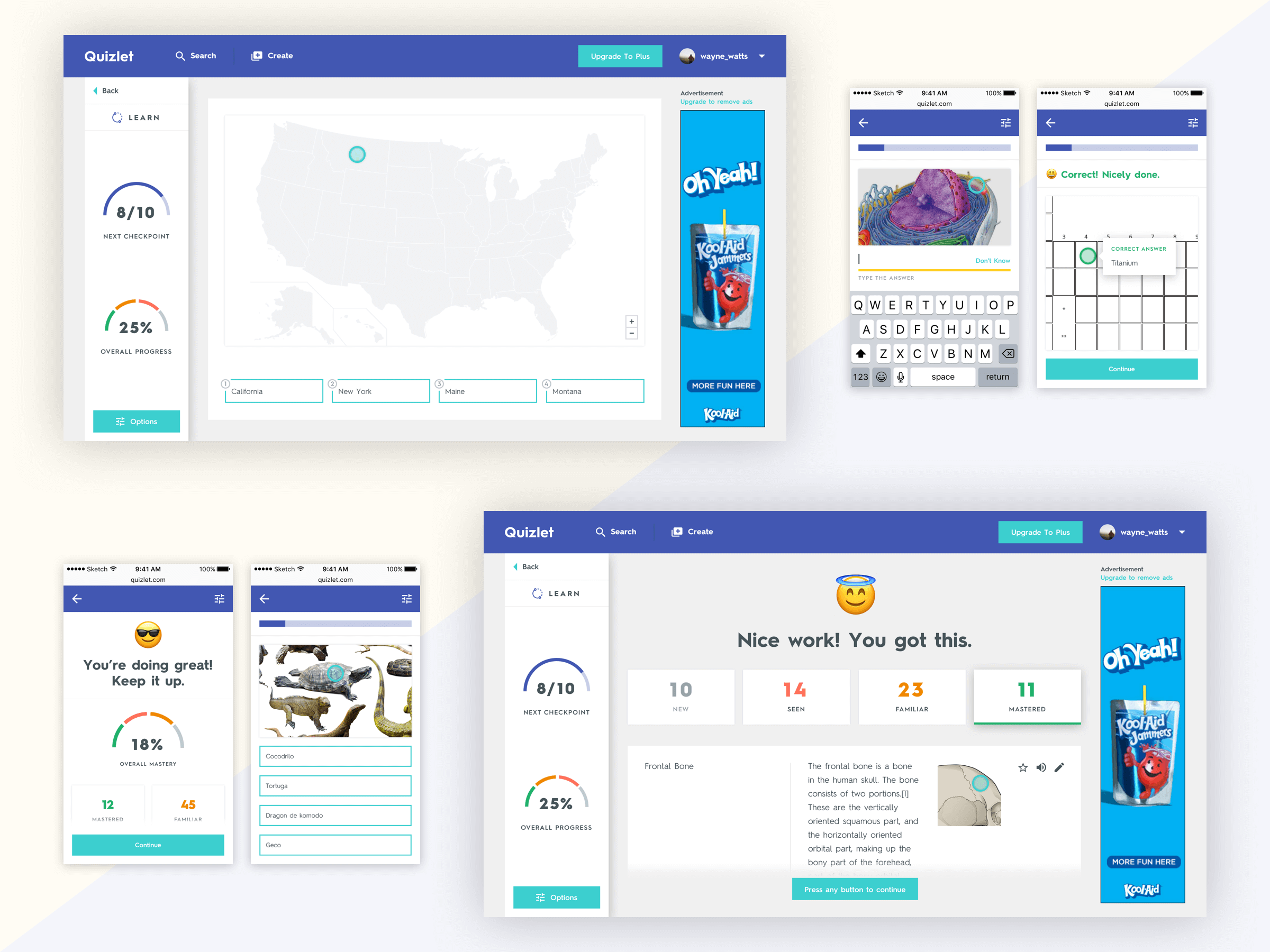 Harry Momand Quizlet Learn